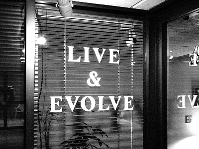 Live & Evolve Window branding graphic design logotype storefront typography window wordmark