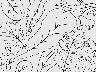 Leafy Lines illustration