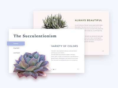 The Succulentionism Website Concept