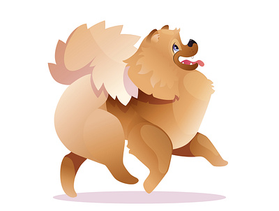 The Spitz dog is running animal animalart art artwork cartoon cartoon character character digital illustration dog illustration spitz vector vectorillustration