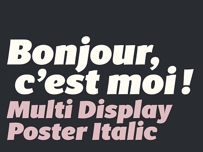 Multi Display Poster Italic display italic multi sans