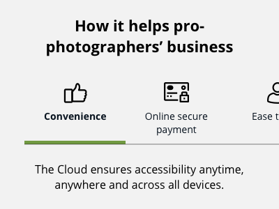 Pro-photographers’ business