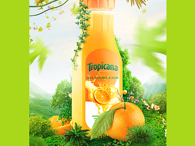 Tropicana Fruits.. Advertise Work advertise art digital fruits graphic juice manipulations orange product
