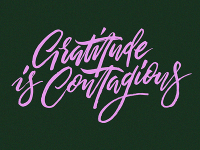 Gratitude is Contagious brush lettering lettering type typography