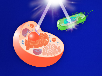 medical illustration neoplas