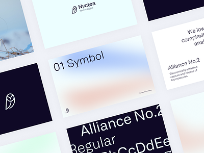 Nyctea – Brandbook bird brandbook branding gradient icon identity logo owl wordmark
