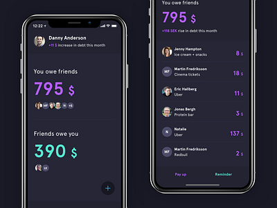 Debt Tracker app daily ui debt finance ios iphone minimal mobile sketch tracker ui ux