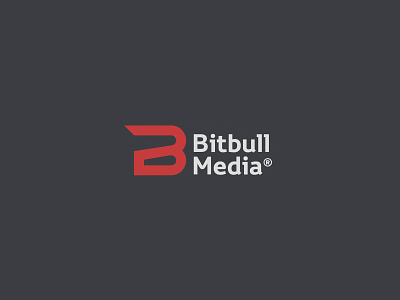 BitBull_Media brand brandidentity branding design font identity illustration logo logotype