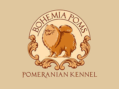 Bohemia Poms bohemia kennel pomeranian poms