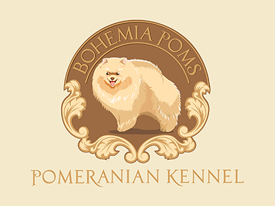 Bohemia Poms Pomeranian kennel bohemia kennel pomeranian poms