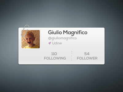 Profile. flat profile twitter ui