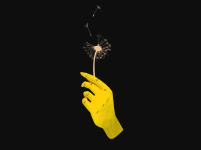 Screenshot black dandelion drawing hand minimal project wish yellow