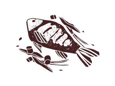 Fish drawing fish illustration vector