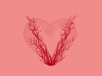 V for Vascular 36 days of type heart illustration minimal pink v vascular