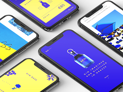 Comte de Grasse app design ui ui design ux design