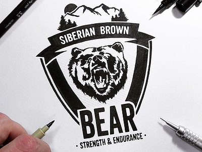 Siberian Brown Bear: Strength & Endurance art bear brown calligraphy handlettering illustration lettering letters logo logotype siberia siberian