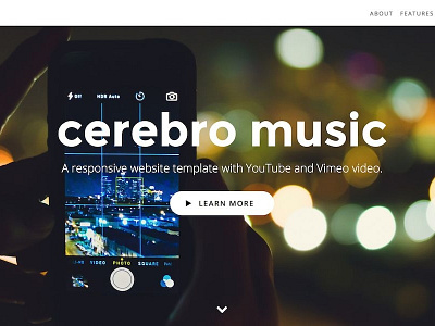 Cerebro - YouTube and Vimeo landing page at ThemeSnap