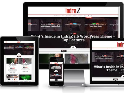 IndraZ - A Premium Clean Wordpress Theme on ThemeSnap cms mock up responsive theme themesnap web wordpress