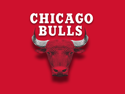 Chicago Bulls - Logo in real life graphic design illustration logo