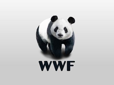 WWF - Logo in real life branding graphic design illustration logo