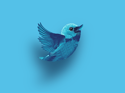 Twitter - Logo in real life branding graphic design illustration logo