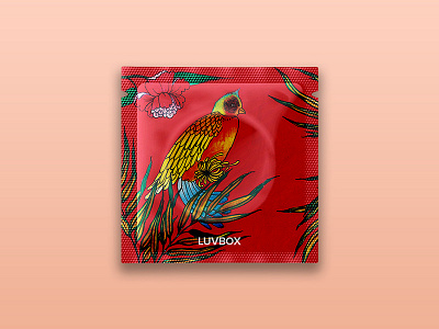 Luvbox Condoms Mockup birds clean colorful colors condom design illustration minimal package packaging product protection