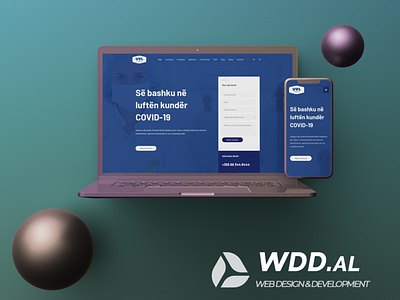 WDD.AL Professional Responsive Website agency art branding business design digitalmarketing distributor graphic design logo marketing ui web webdesign website