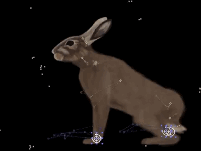 Hare Rig after effects animation duik hare photoshop