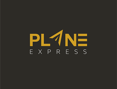 Plane Logo branding and indentity branding design icon logo logodesign minimal