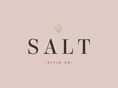 Salt Style Co. branding fashion graphic design icon identity line art logo stylist typography