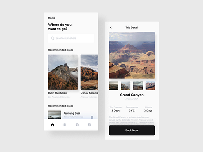 Travel Service Mobile App altitude app black camp canyon grand canyon hiking hill holiday lake mobile mountain nature photo service temperature travel trip ui design