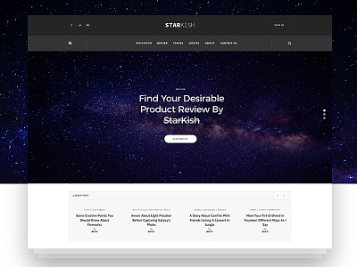 Starkish - Blog Website Concept