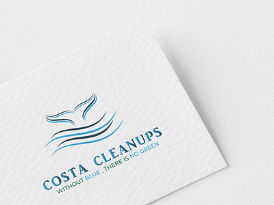 Costa Cleanups