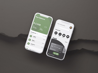 best wallet mobile app UI design | brizmi