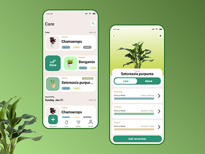 Plant Shop App | UI design adobe xd app design branding brizmi daily ui dashboard graphic design illustrator logo minimal photoshop prototype top best design ui ui design user experience user friendly user interface ux web