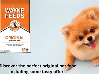 Original Pet Food