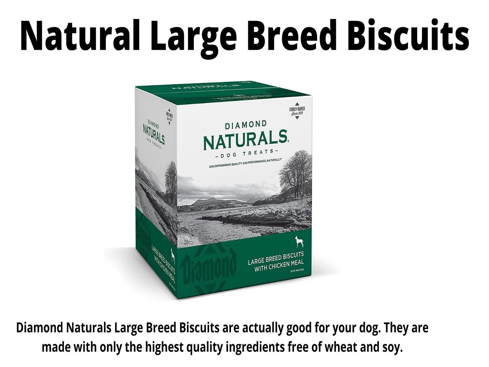 Diamond naturals grain outlet free beef