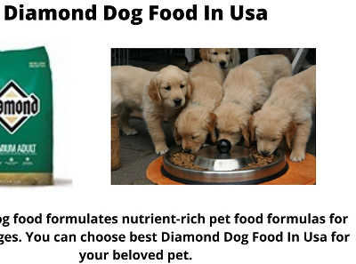 Diamond Dog Food In Usa diamond dog food in usa diamond dog food near me