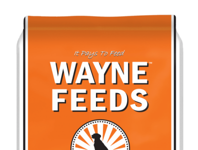 Original Pet Food