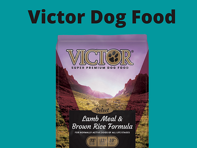 Victor Food Dog