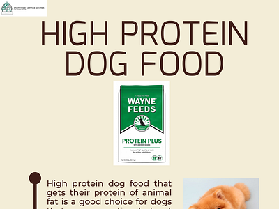 High Protein Dog Food high protein dog food