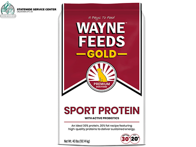Best High Protein Dog Food in USA. dry dog food high protein dog food pet food full of protein pet protein food protein dog food