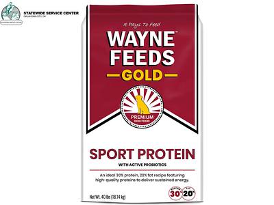 Best High Protein Dog Food in USA.