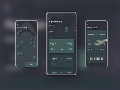 This is a flight concept design design ui 航班