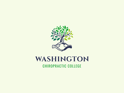 Logo design for a chiropractic college bone brandidentity branding chiropractic college doctor graphic design illustration logo logo design medical tree