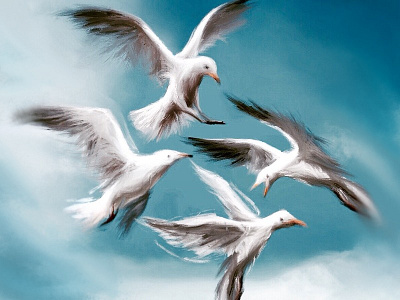 Gulls birds digital painting
