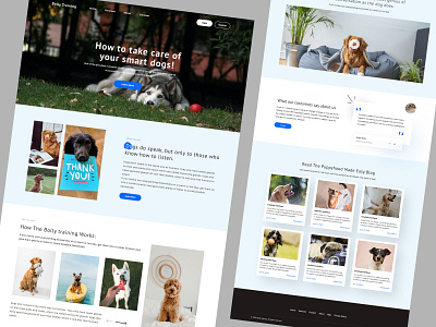 Dog Training Landing design dog care dog training landing minimal modern pet care pet training pets puppy ui ux website