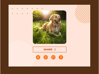 #010 Social share dailyui dailyui 010 dailyuichallenge social share