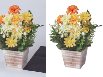 background removal 1 background remove clipping path clipping path service neck joynt white background