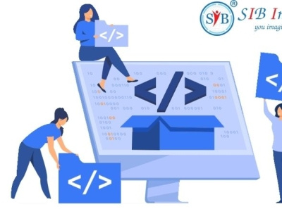 SIB Infotech is the best software development company in India design software software company software design web